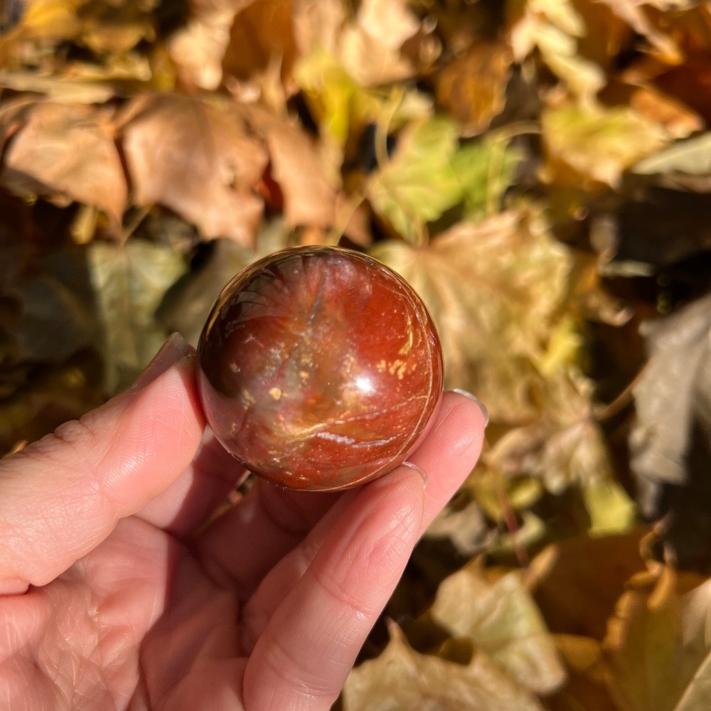 Petrified (6) wood sphere | crystal